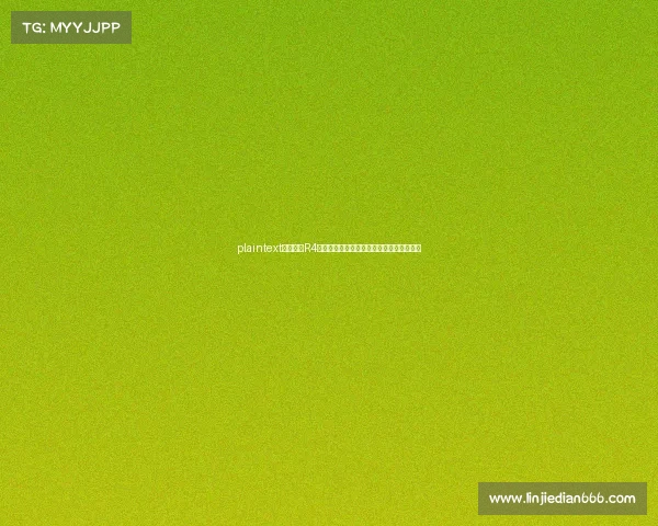 plaintext电竞术语R4揭秘：不仅是第四回合，更是联盟副指挥？